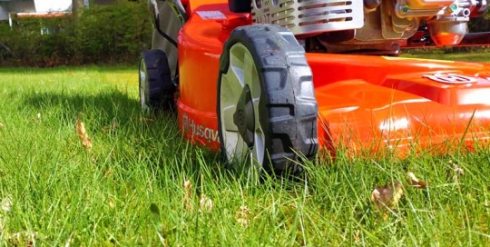 Rasenmähen mit Husqvarna Rasenmäher in einem Hamburger Garten