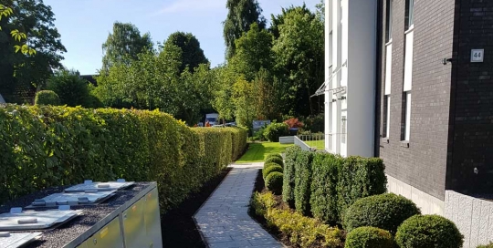 Anlagenpflege eines Mehrfamilienhauses