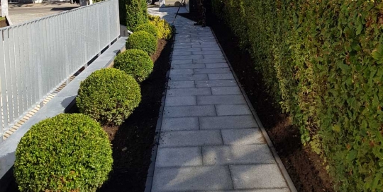 Fachgerechte Beetpflege eines Mehrfamilienhauses in Hamburg