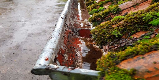 Gereinigte Dachrinne in Hamburg