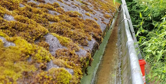 Saubere Regenrinne nach einer Dachrinnenreinigung