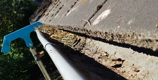 Regenrinnenreinigung mit Gardena Dachrinnenreiniger