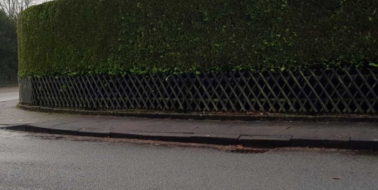 Runder Heckenschnitt von Haus und Garten