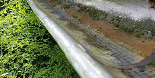 Saubere Regenrinne nach Dachrinnenreinigung