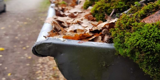 Verstopfte Dachrinne in Hamburg