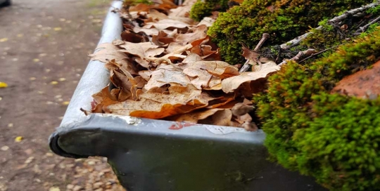 Voll verstopfte Regenrinne in Hamburg