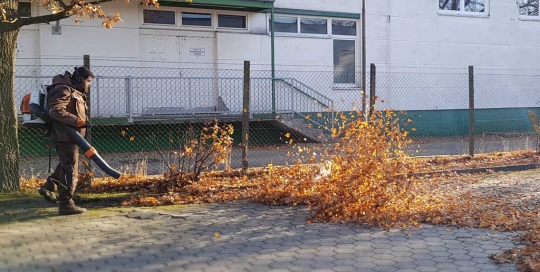 Gründliche Laubentfernung mit Stihl Laubgebläse