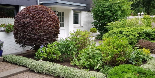 Professionelle Pflege eines chic-hergerichteten Vorgartens
