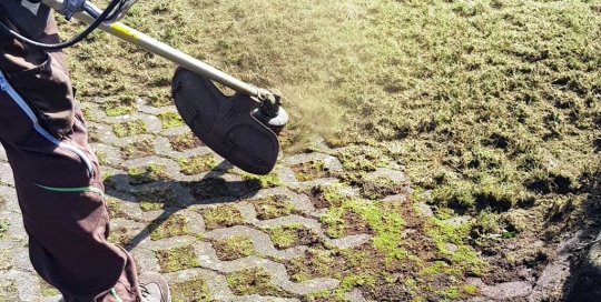 Rasensteine von Durchwüchsen befreien mit Freischneider