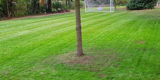 Sportliche Rasenpflege: Frisch gemähter Rasen mit Fußballtor
