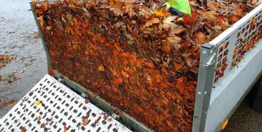 Ein ganzer Anhänger voll mit aufgesammelten Laub. Gründliche Laubentfernung von Haus und Garten.