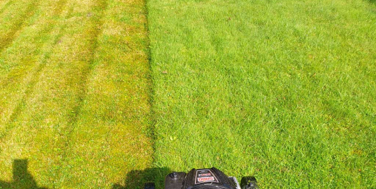 Rasenmähen mit Sabo Rasenmäher. Professionelle Gartenpflege von Haus und Garten Hamburg.