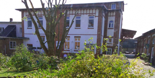 Baumschnitt und Baumfällung vom Fachmann in Hamburg, damit die Baumpflege ohne Zwischenfälle abläuft