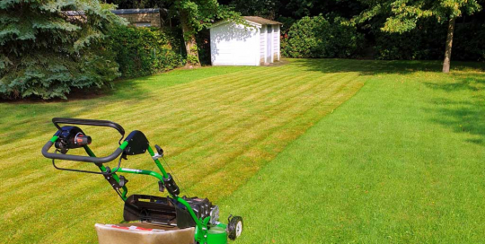 Rasenmähen in der vorher nachher Ansicht mit einem Sabo Rasenmäher in einem Hamburger Garten