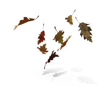 herumfliegende Blätter im Herbst können Rinnen und Fallrohre zusetzen