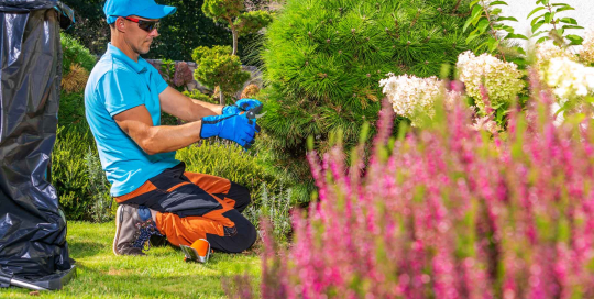 Der Gärtner pflegt mit Hingabe und Fachkenntnissen den Garten