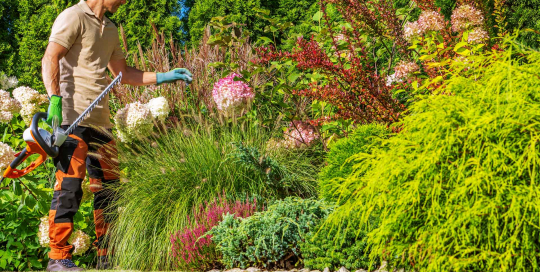 Gärtner verschönern und pflegen mit Hingabe die grünen Oasen