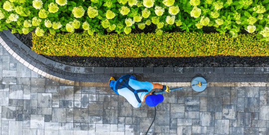 Gärtner setzen ihre grünen Daumen ein, um nicht nur Pflanzen zu pflegen, sondern auch Steine zu reinigen