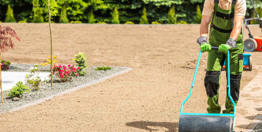 Der Gärtner sorgt durch das sorgfältige Walzen des Bodens für eine ideale, verdichtete Grundlage