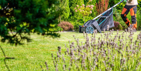 Der Gärtner mit Rasensammler sorgt für einen gepflegten Garten
