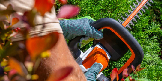 Das Trimmen von Hecken mit einer Akku-Heckenschere ermöglicht eine kabellose und umweltfreundliche Gartenpflege