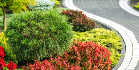 Ein malerischer Garten mit einem gepflegten Gehweg lädt zum verweilen und spazieren ein
